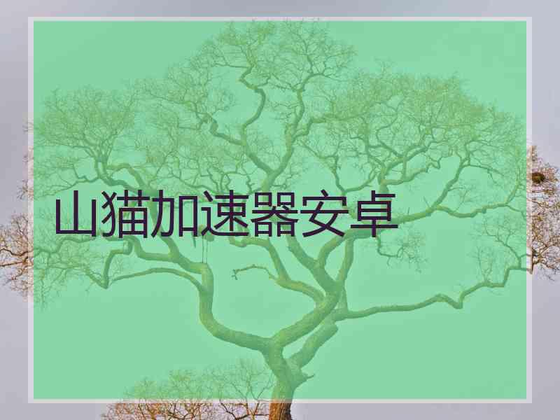 山猫加速器安卓
