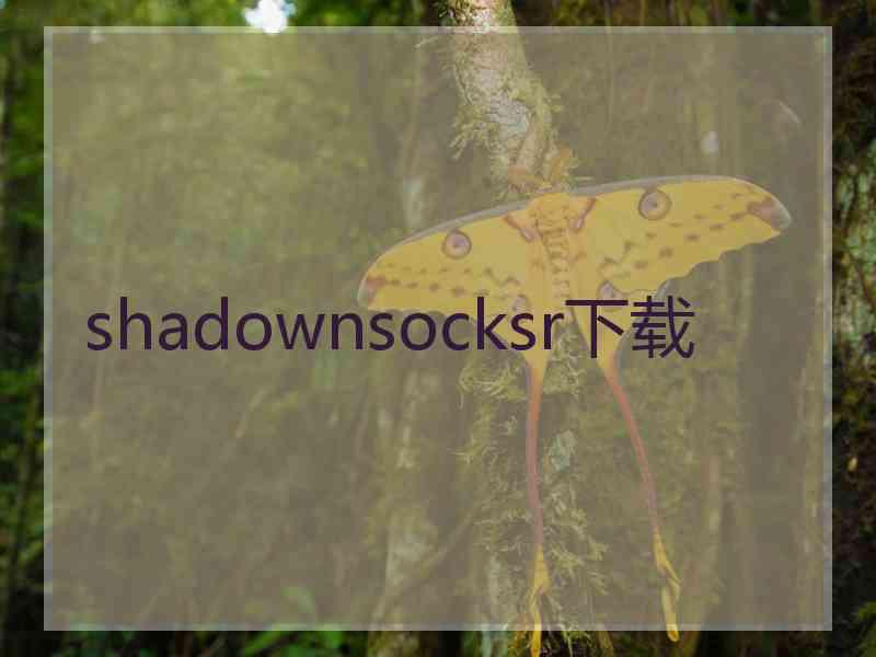 shadownsocksr下载