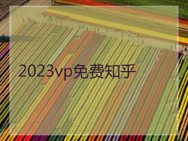 2023vp免费知乎