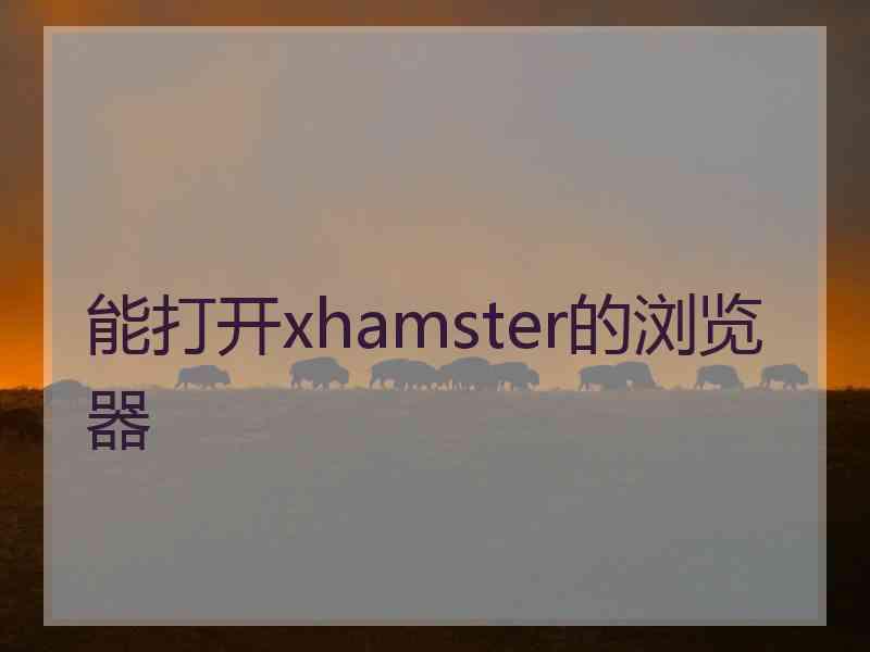 能打开xhamster的浏览器