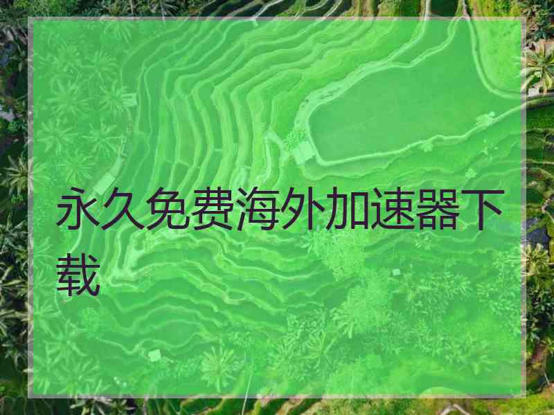 永久免费海外加速器下载