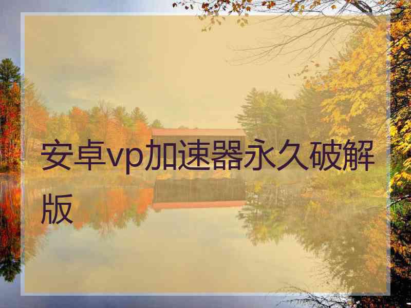 安卓vp加速器永久破解版