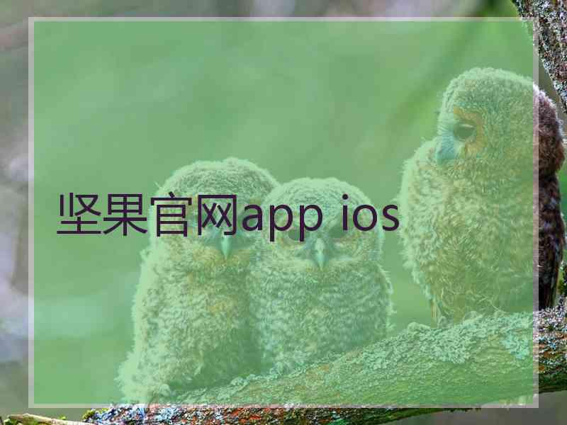 坚果官网app ios