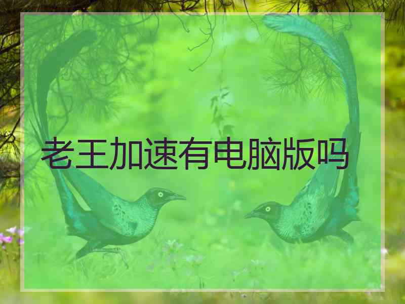 老王加速有电脑版吗