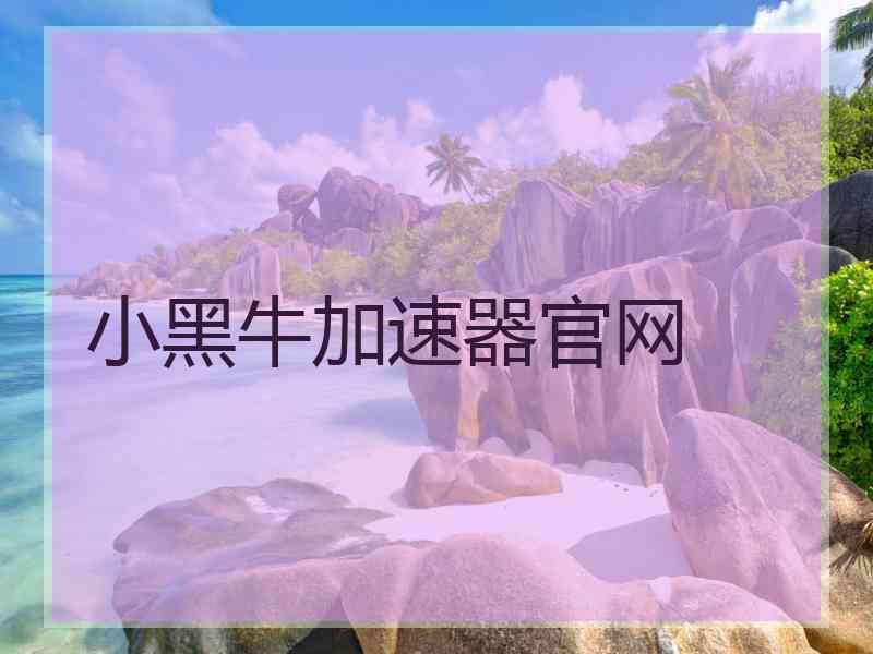 小黑牛加速器官网