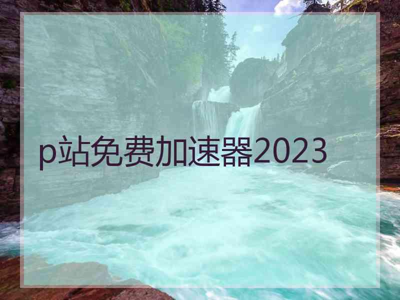 p站免费加速器2023