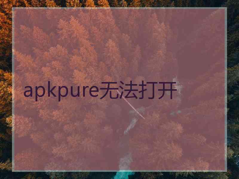 apkpure无法打开