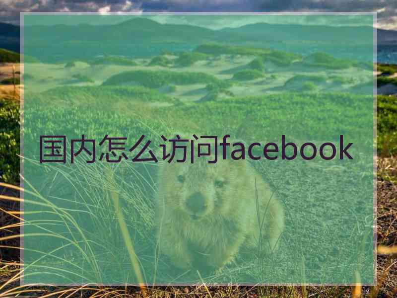 国内怎么访问facebook