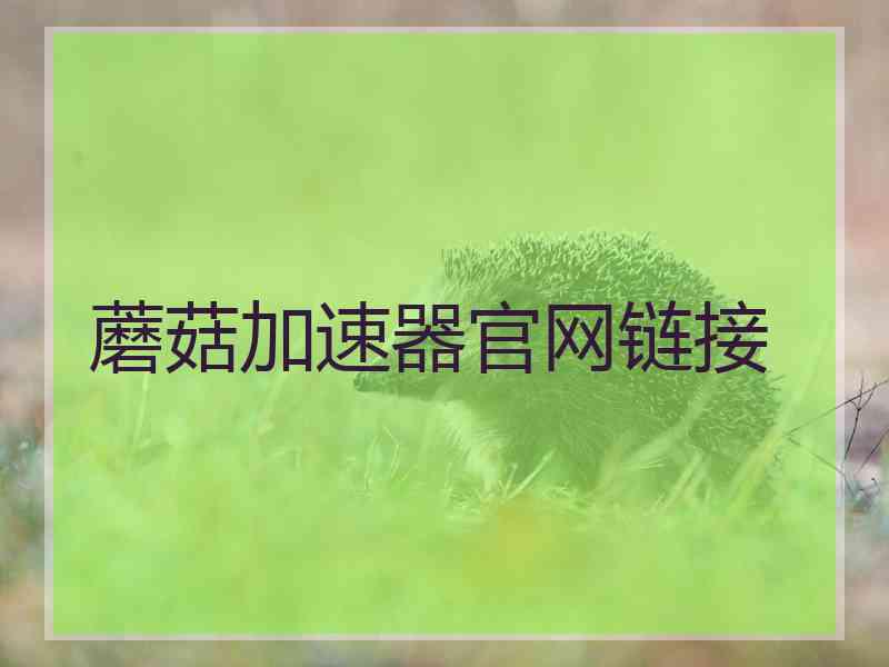 蘑菇加速器官网链接