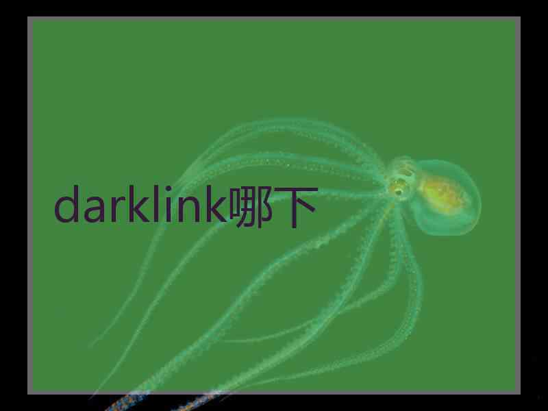 darklink哪下