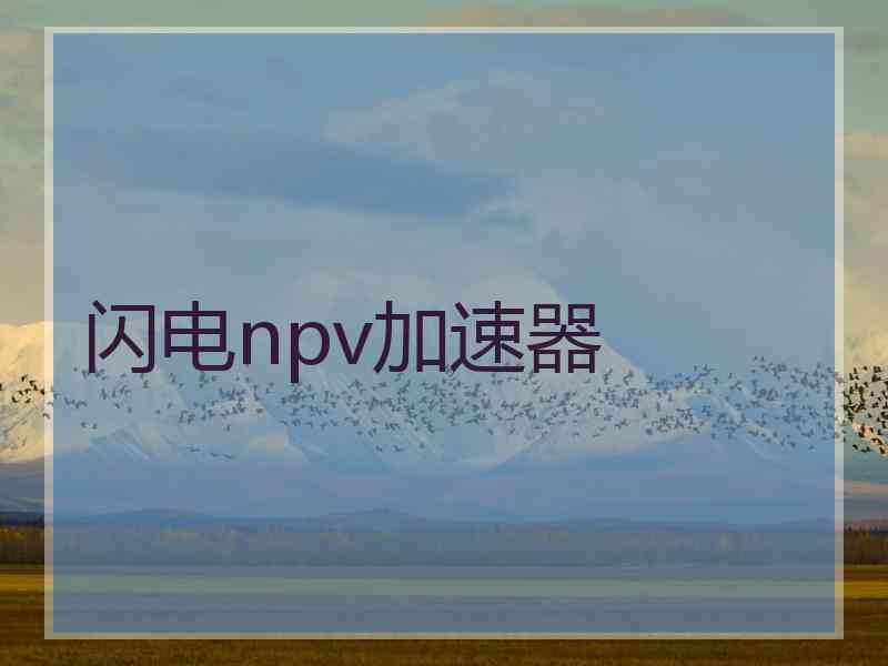 闪电npv加速器