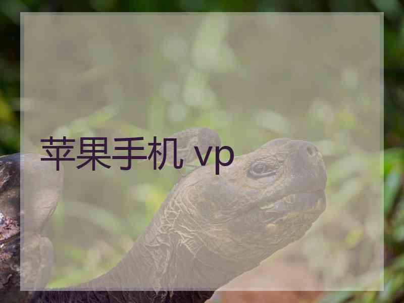 苹果手机 vp