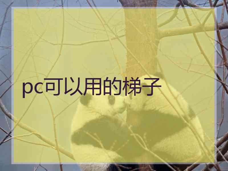 pc可以用的梯子