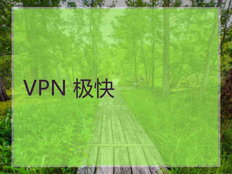 VPN 极快